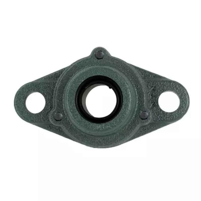 NTN 60x250x140mm Cast Iron 2-Bolt Rhombus Flanged Unit C-UCFL212D1