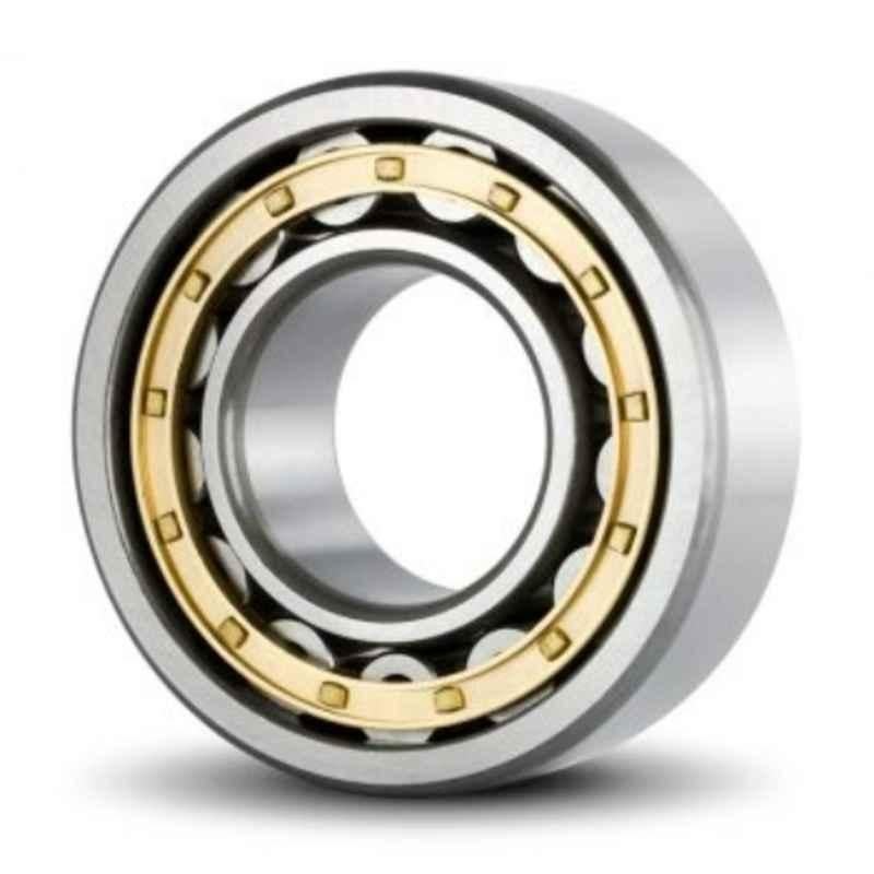 DYZV NJ1056 EM Cylindrical Roller Bearing, 280x480x70 mm